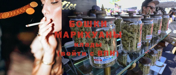 прущие грибы Козловка