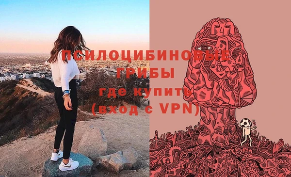 кокаин Краснослободск
