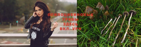 кокаин Краснослободск